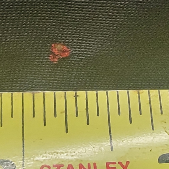 Authentic Starter Jacket - Picture 13 of 14